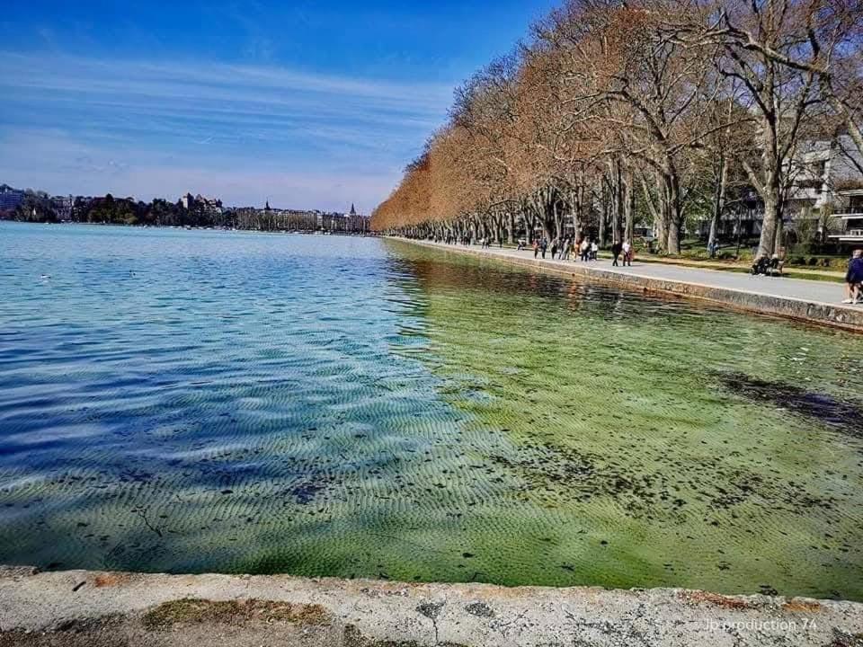 Appartement La Petite Venise Des Alpes, Ultra Centre 1 A 5 Pers à Annecy Extérieur photo